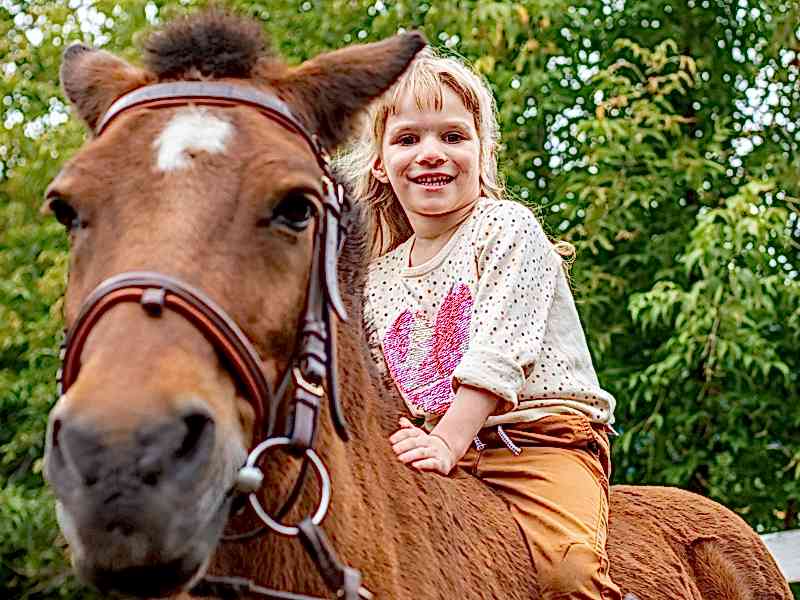 Otizimli Bireylerde Hippoterapinin Dil ve Konuşma Gelişimine Etkisi
